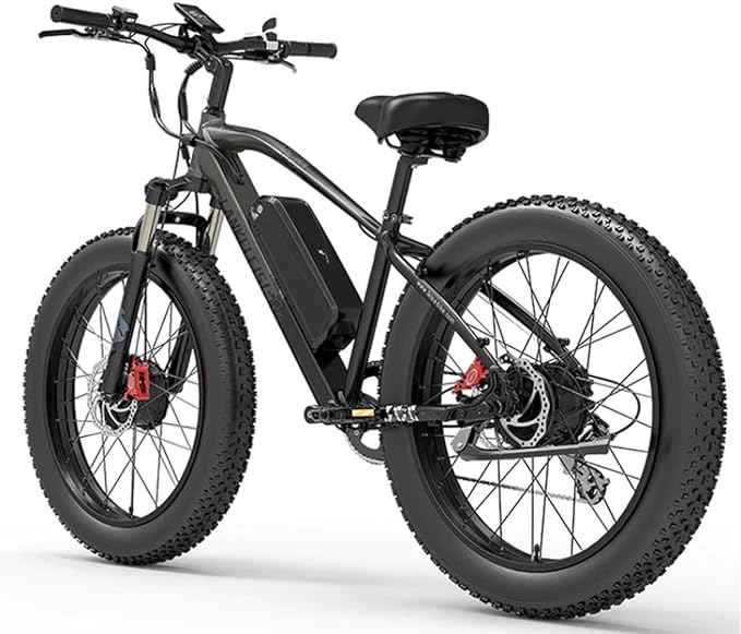 LANKELEISI | MG740 Dual-motor Electric Bike （with the rear rack and fenders ）